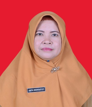 Anita Widihastuti.SE